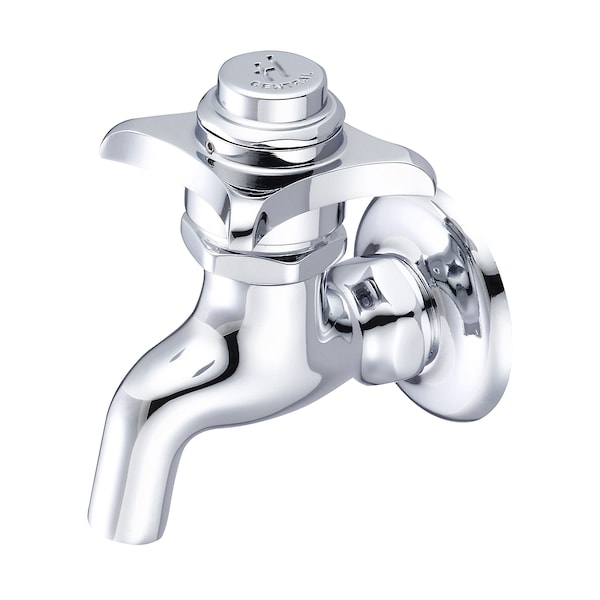 Self-Close Wallmount Faucet, NPT, Single Hole, Polished Chrome, Overall Width: 2.88"